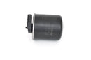 Bosch Fuel Filter - F026402838