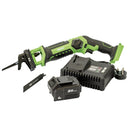 D20 20V Pruning Saw - 1 x 4.0Ah Battery - 1 x Fast Charger