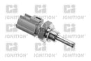 Oval Coolant Temperature Sensor - XEMS239