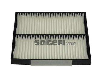 Fram Cabin / Pollen Filter - CF10501