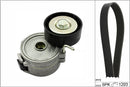 INA V-Ribbed Belt Set - Part No - 529035710