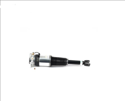 Arnott - As-3130 Arnott - Rear Air Spring