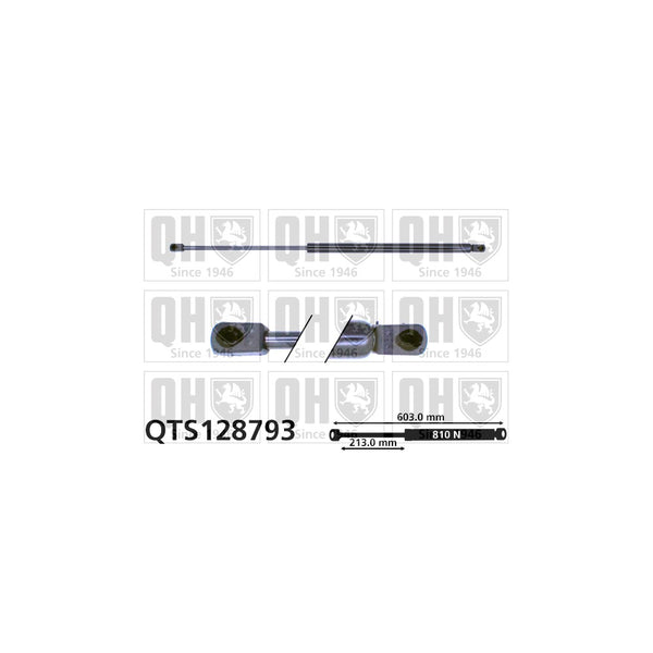 QH QTS128793 Gas Spring