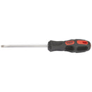 Draper Expert 100x5mm Para TIP S/Driver Bulk - 40033