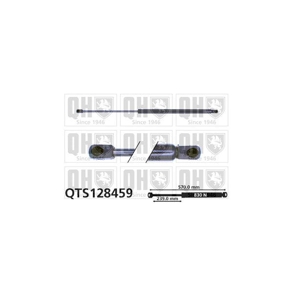 QH QTS128459 Gas Spring