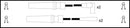 Intermotor Ignition Lead Set - 73902