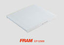 Fram Cabin / Pollen Filter - CF12509