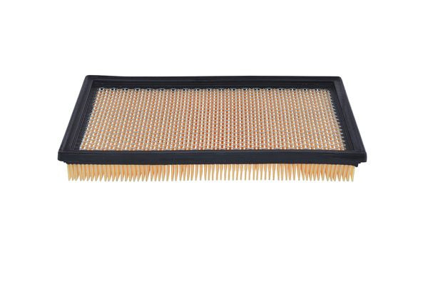 Bosch Air Filter - 1987429181