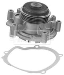 Borg & Beck Water Pump Kit Part No -BWP1741