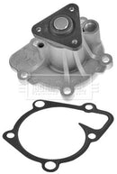 Borg & Beck Water Pump Kit Part No -BWP2200