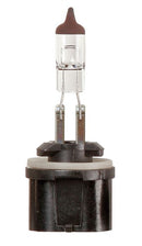 Ring 12V 27W PG13 Halogen Headlamp