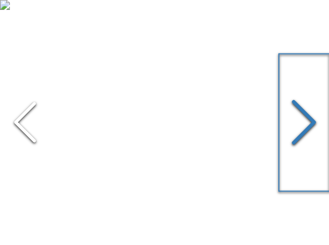 WAI Window Regulator - WPR3295L