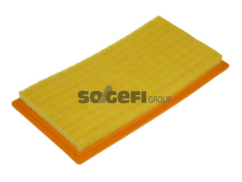 Fram Air Filter - CA10118