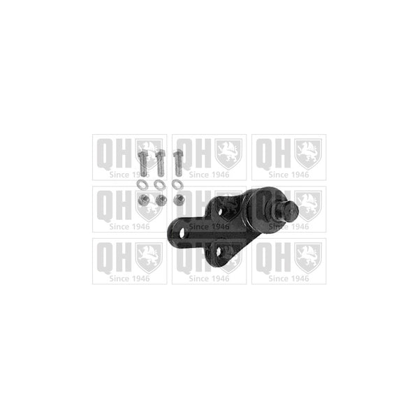 QH QSJ3647S Ball Joint - Front Lower RH