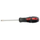 Draper Expert 6x100mm Plainslot S/Driver BLK - 40013