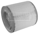 Borg & Beck Air Filter - BFA2482