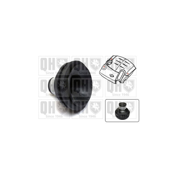 QH EM4839 Engine Cover Support Clip