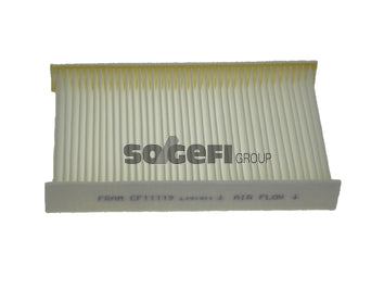 Fram Cabin / Pollen Filter - CF11119