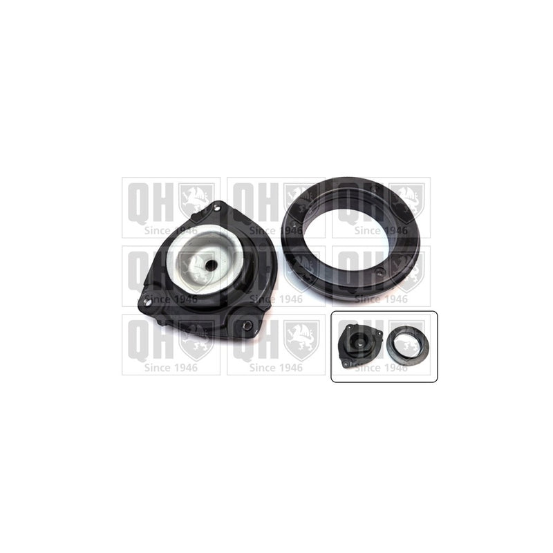 QH EMA4919 Top Strut Mounting- inc Bearing