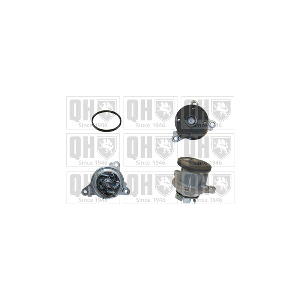 QH QCP3781 Water Pump