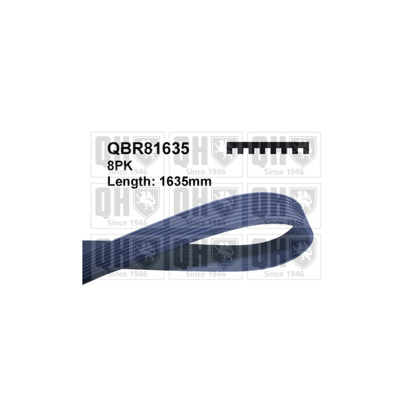 QH QBR81635 Multi-ribbed belt