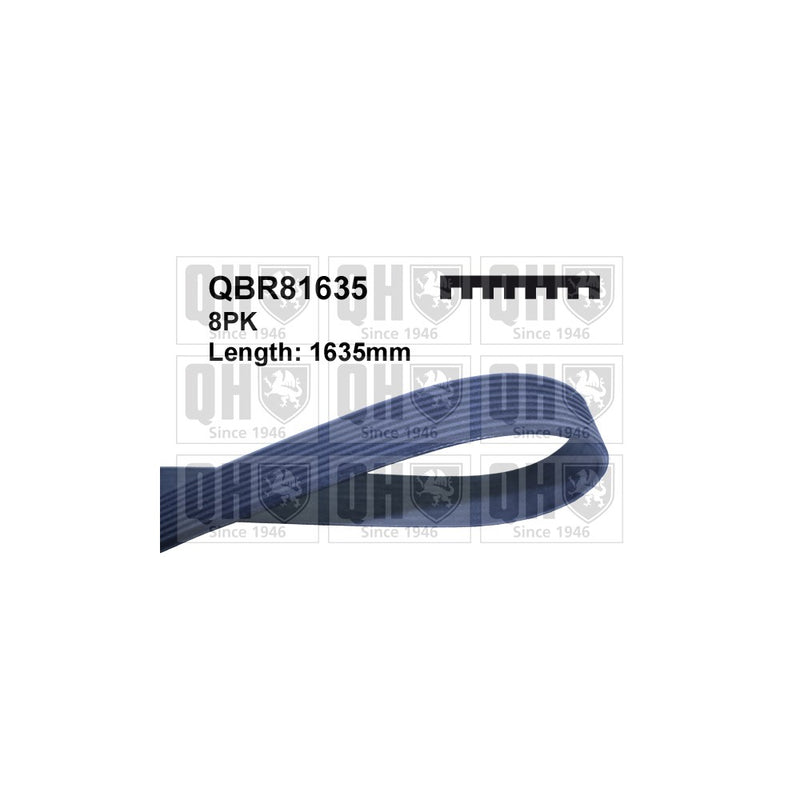 QH QBR81635 Multi-ribbed belt
