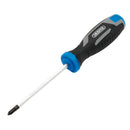 Draper Ph1x100mm Philips Pound Thru S - 13443