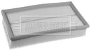 Borg & Beck Air Filter - BFA2460