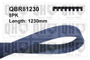 QH V-Ribbed Drive Belt - QBR81230
