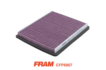 Fram Cabin / Pollen Filter - CFP8867