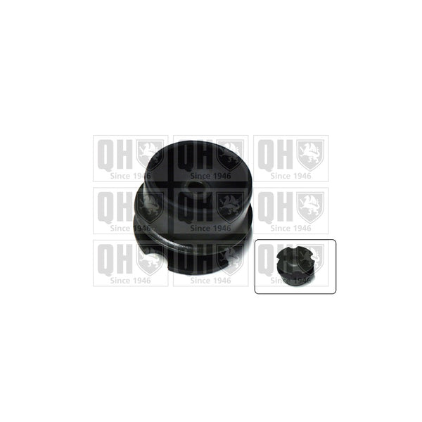 QH EM4194 Engine Mounting