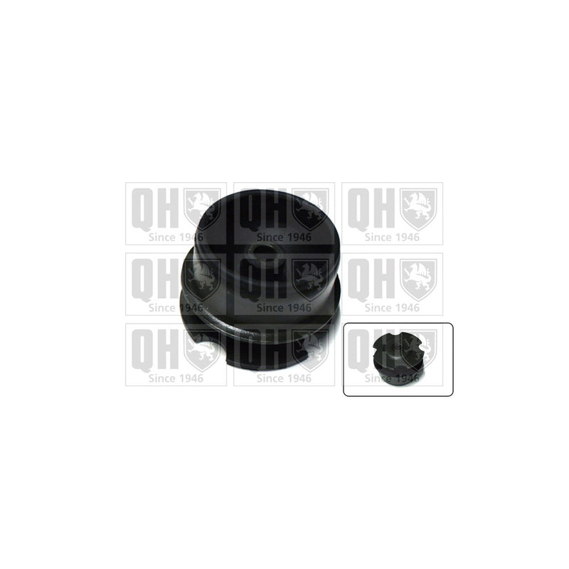 QH EM4194 Engine Mounting