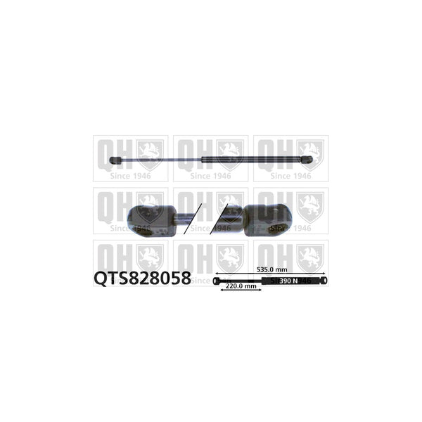 QH QTS828058 Gas Spring