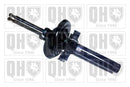 QH Suspension Strut Shock Absorber - Front Axle - QAG178989