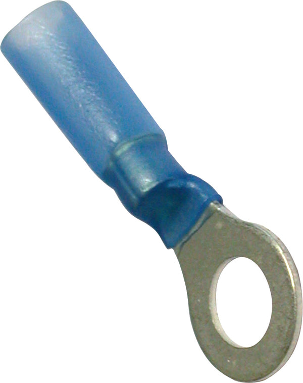 Blue Heat Shrink Terminals (Adhesive Lined) - Ring Terminals - 205713 x25