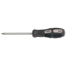 Draper Expert T25x100mm TX Star S/Driver PKD - 40053