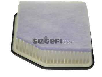 Fram Air Filter - CA10595