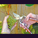 Bypass Pattern Secateurs with Wooden Handles, 210mm