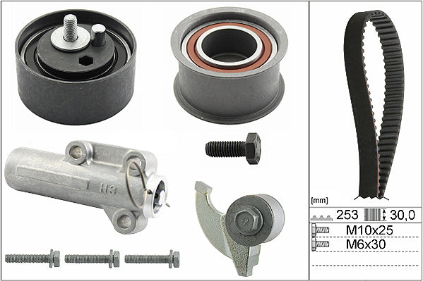 INA Timing Belt Set - Part No - 530017910