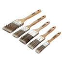 Draper 5PC Paint Brush Set - A/W-Hand - 20445