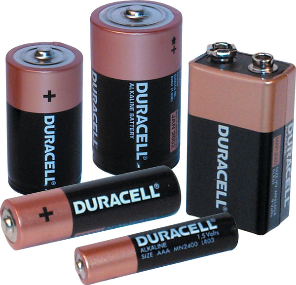 Alkaline Batteries - 275262 x2