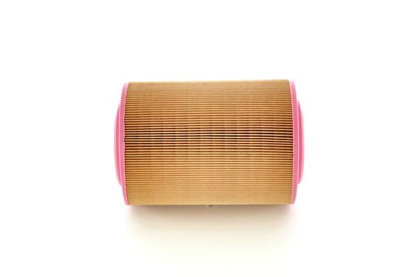 Bosch Air Filter - 1457429795