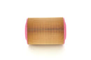 Bosch Air Filter - 1457429795