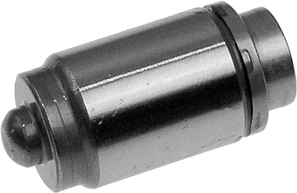 INA Tappet Part No - 420000310