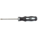 Draper Expert T25x100mm TX Star S/Driver PKD - 35080