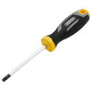 Draper T30hx100mm Tamper-Resistant TX - 13424