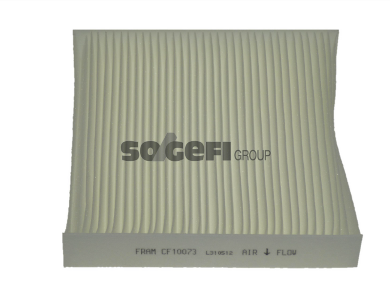 Fram Cabin / Pollen Filter - CF10073