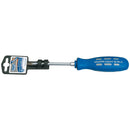 Draper Expert No2x100mm Cross Slot S/Driver - 55501