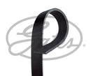 Gates V-Ribbed Belt - 7PK1196EST