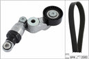 INA V-Ribbed Belt Set - Part No - 529041310